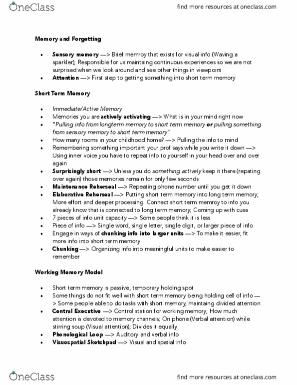 PSY100H1 Lecture Notes - Lecture 13: Sensory Memory, Sketchpad, Temporal Lobe thumbnail