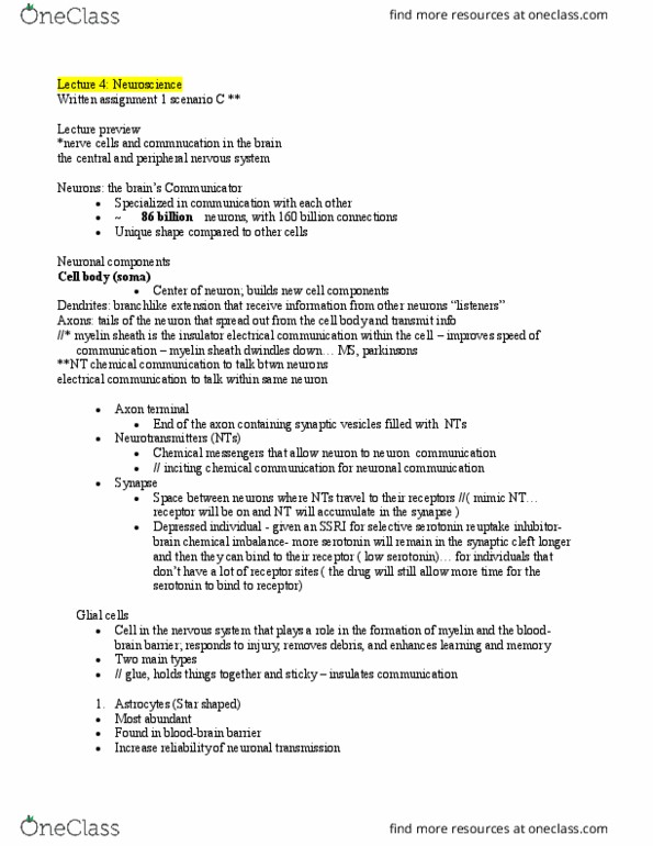 PSY 102 Lecture Notes - Lecture 4: Selective Serotonin Reuptake Inhibitor, Peripheral Nervous System, Axon Terminal thumbnail