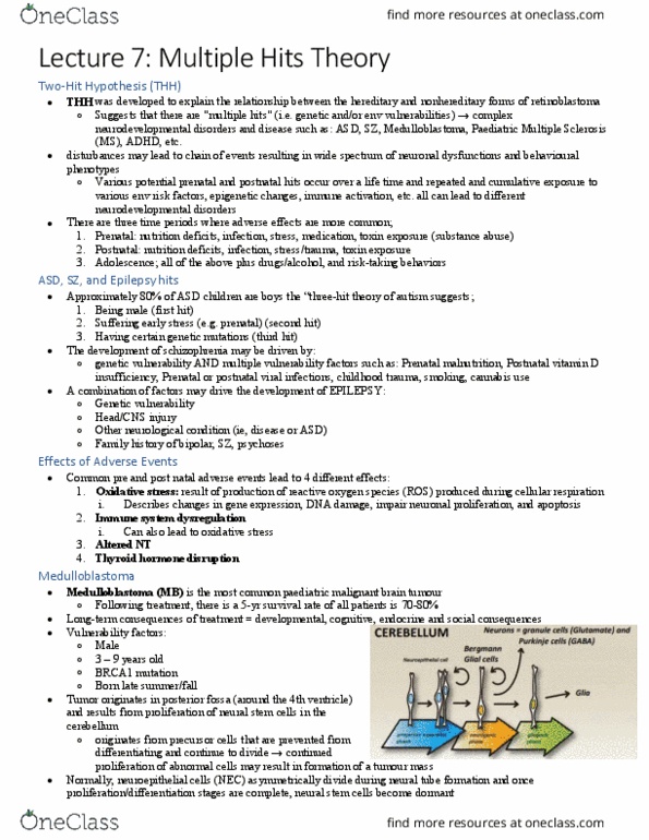 HMB450H1 Lecture Notes - Lecture 7: Medulloblastoma, Asymmetric Cell Division, Oxidative Stress thumbnail