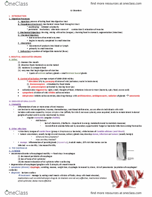 PHS 4300 Lecture Notes - Lecture 6: Angular Cheilitis, Upper Gastrointestinal Series, Oral Candidiasis thumbnail