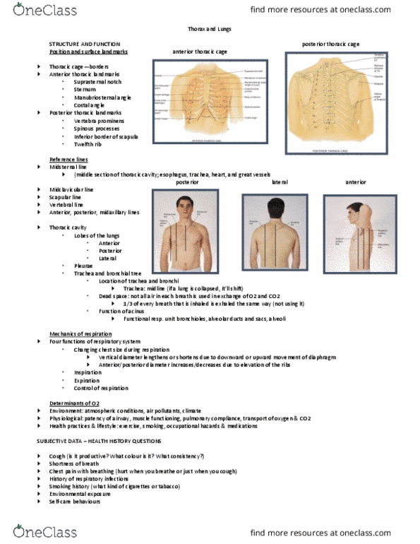 NSG 2317 Lecture Notes - Lecture 7: Suprasternal Notch, Cervical Vertebrae, Rib Cage thumbnail
