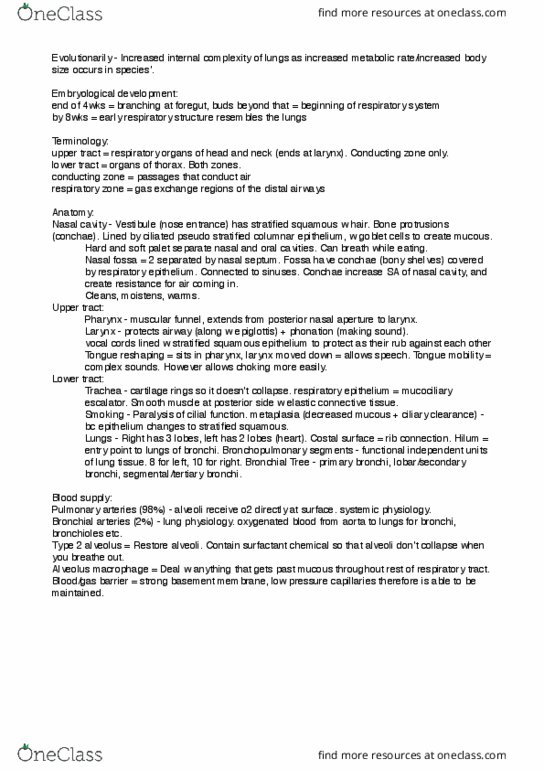 ANHB1102 Lecture Notes - Lecture 20: Respiratory Epithelium, Bronchial Artery, Nasal Septum thumbnail