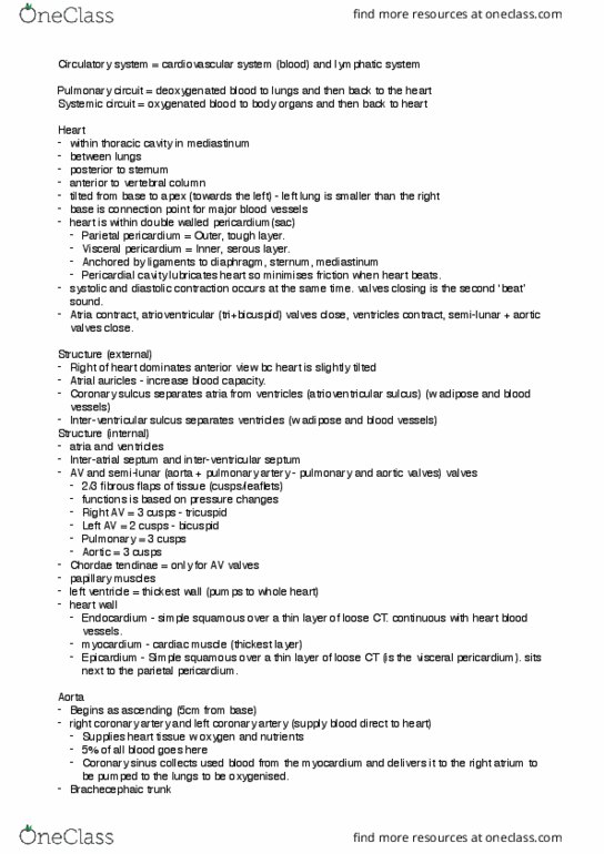 ANHB1102 Lecture Notes - Lecture 14: Interventricular Septum, Chordae Tendineae, Interatrial Septum thumbnail