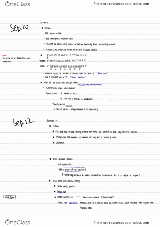 BIOLOGY 283 Lecture Notes - Lecture 3: Unix System Iii, Auxotrophy, Phenylalanine thumbnail