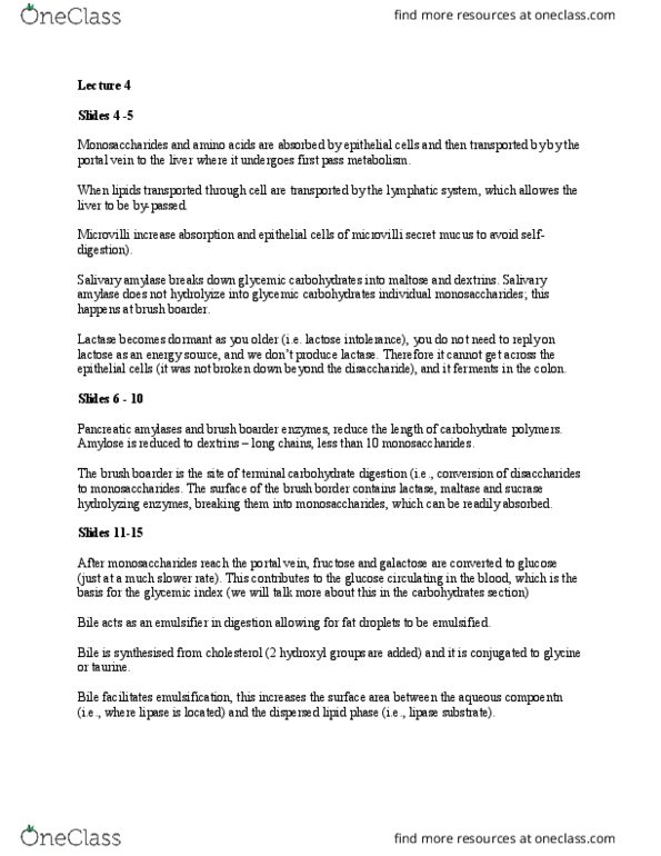 FOOD 2150 Lecture Notes - Lecture 4: Pancreatic Lipase Family, Portal Vein, Lactose Intolerance thumbnail