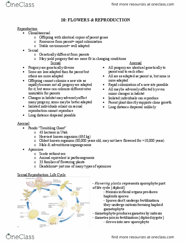 BIO203H5 Lecture Notes - Lecture 10: Sexual Reproduction, Sporophyte, Gametophyte thumbnail