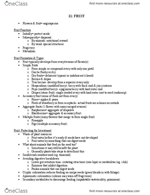 BIO203H5 Lecture Notes - Lecture 11: Accessory Fruit, Drupe, Hesperidium thumbnail