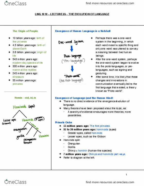 LING 1010 Lecture Notes - Lecture 28: Oneword, Orangutan, Homo Habilis cover image
