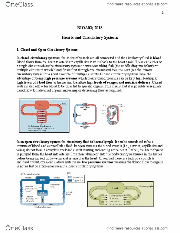 BIOA02H3 Lecture Notes - Lecture 5: Hemolymph, Extracellular Fluid, Blood Vessel thumbnail