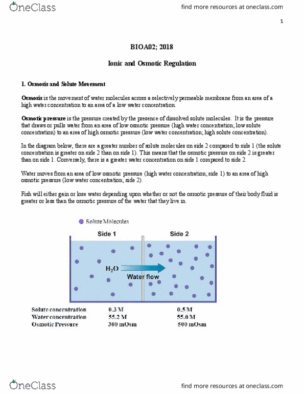 BIOA02H3 Lecture Notes - Lecture 10: Osmotic Concentration, Osmotic Pressure, Osmoregulation thumbnail