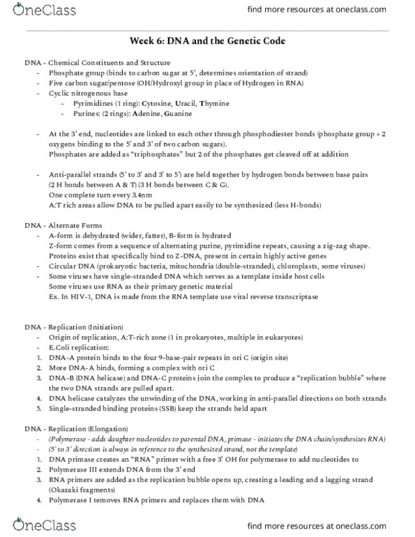 BIOL239 Lecture Notes - Lecture 6: Helicase, Dna Polymerase, Okazaki Fragments thumbnail