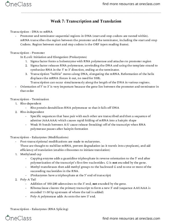 BIOL239 Lecture Notes - Lecture 7: Start Codon, Sigma Factor, Guanidine thumbnail