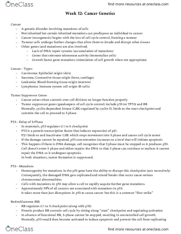 BIOL239 Lecture Notes - Lecture 12: Tumor Suppressor Gene, P53, S Phase thumbnail