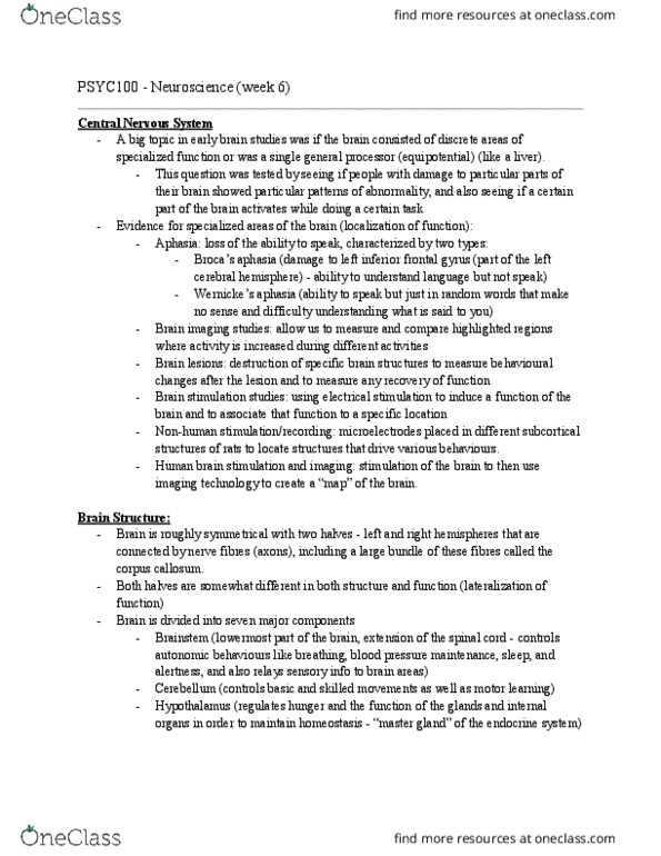 PSYC 100 Lecture Notes - Lecture 6: Inferior Frontal Gyrus, Aphasia, Central Nervous System thumbnail