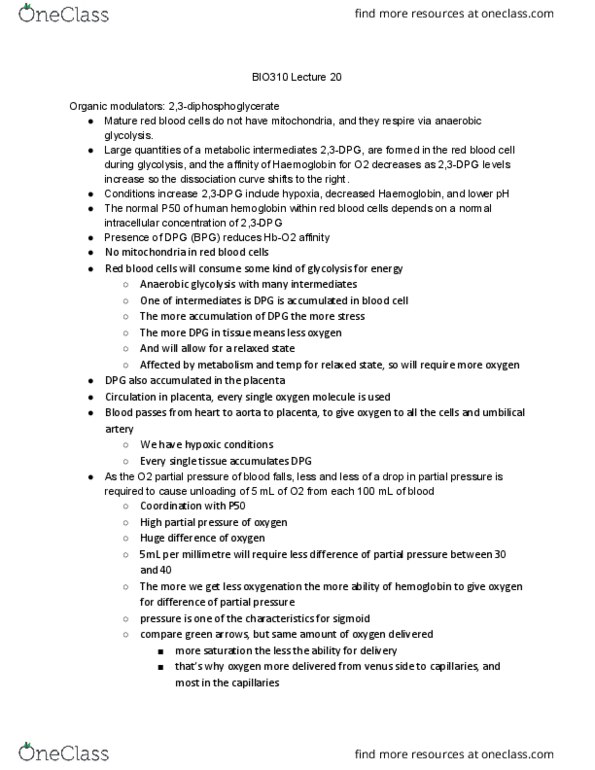 BIO310H5 Lecture Notes - Lecture 20: Red Blood Cell, Anaerobic Glycolysis, Umbilical Artery thumbnail