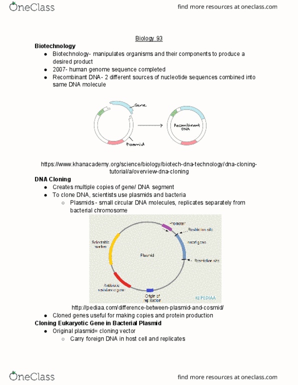 BIO SCI 93 Lecture Notes - Lecture 31: Molecular Cloning, Recombinant Dna, Plasmid cover image