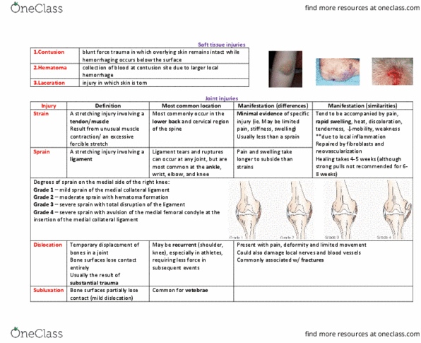 document preview image