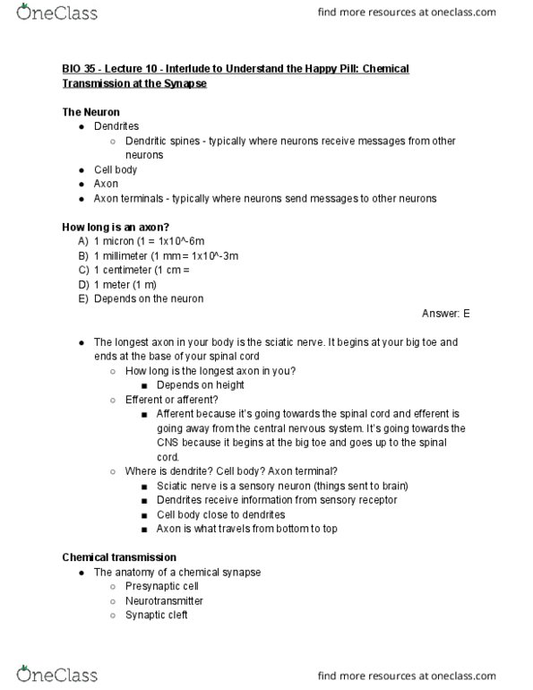 BIO SCI 35 Lecture Notes - Lecture 10: Sciatic Nerve, Chemical Synapse, Axon Terminal thumbnail