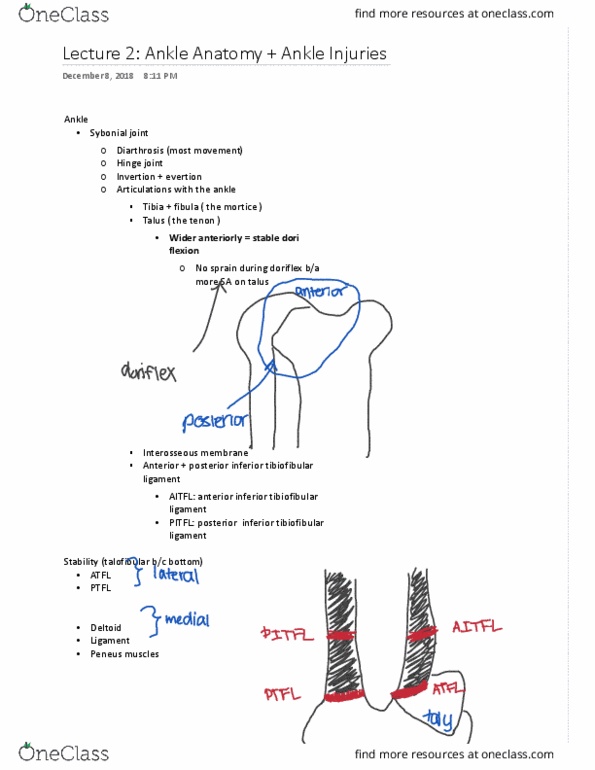 document preview image