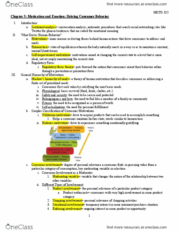 MKTG 325 Chapter Notes - Chapter 5: Sentiment Analysis, Conversation Analysis, Belongingness thumbnail