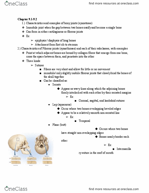 KINS 1223 Lecture Notes - Lecture 4: Serrate Radar Detector, Lambdoid Suture, Diaphysis thumbnail