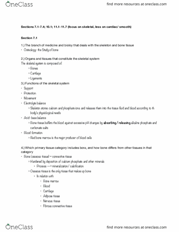 KINS 1223 Lecture Notes - Lecture 3: Connective Tissue, Bone Marrow, Adipose Tissue thumbnail