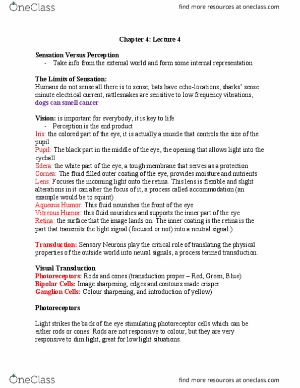 PSYA01H3 Lecture Notes - Lecture 4: Ganglion Cell, Retina, Critical Role thumbnail