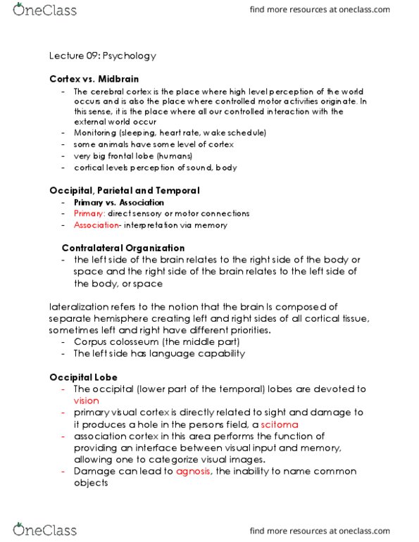 PSYA01H3 Lecture Notes - Lecture 9: Visual Cortex, Temporal Lobe, Frontal Lobe thumbnail