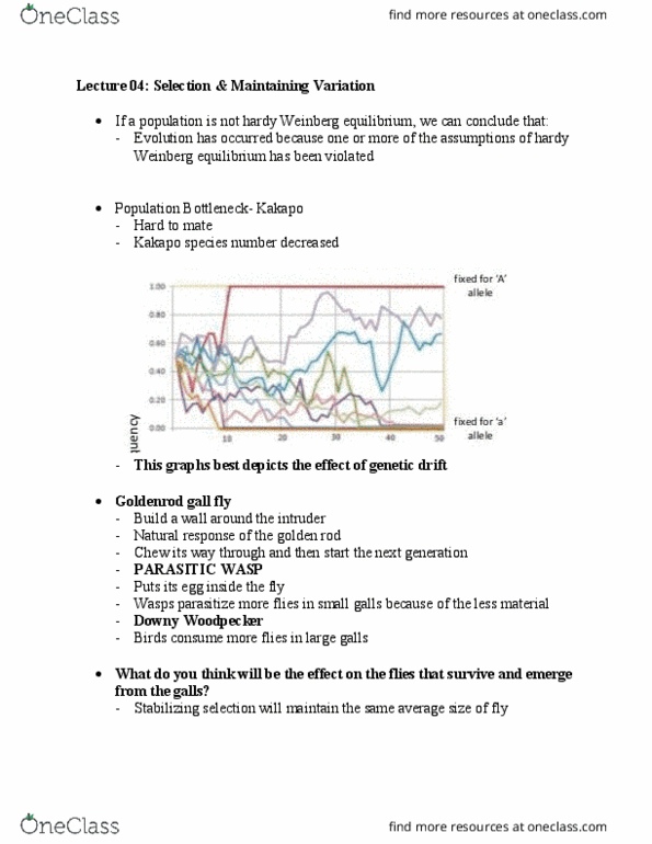 BIOA01H3 Lecture Notes - Lecture 4: Downy Woodpecker, Genetic Drift, Stabilizing Selection thumbnail