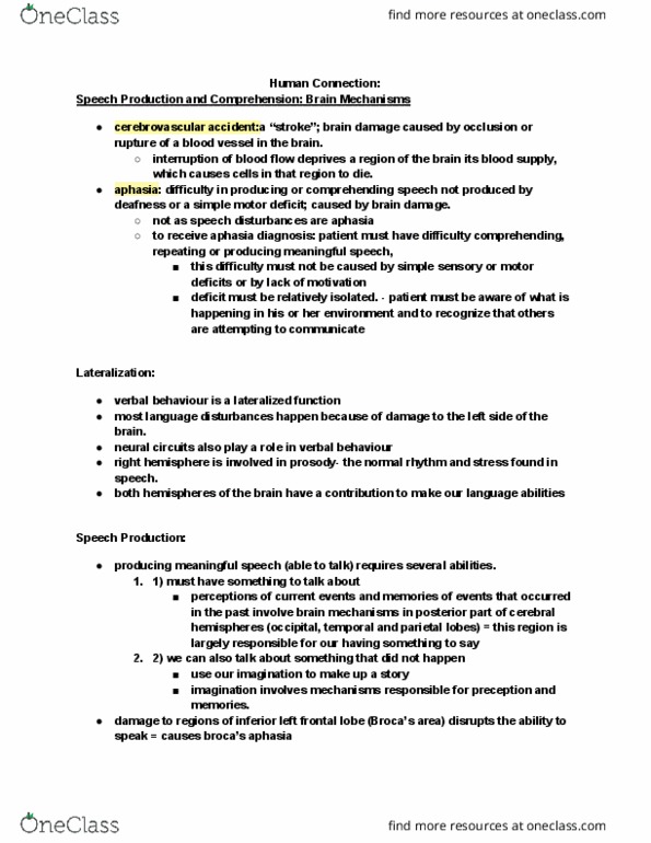 PSYCH261 Chapter Notes - Chapter 14: Parietal Lobe, Temporal Lobe, Verbal Behavior thumbnail