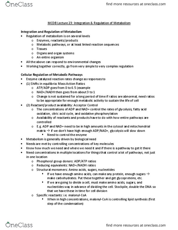 MCDB 310 Lecture Notes - Lecture 23: Oxidative Phosphorylation, Mitochondrial Matrix, Carbohydrate Metabolism thumbnail