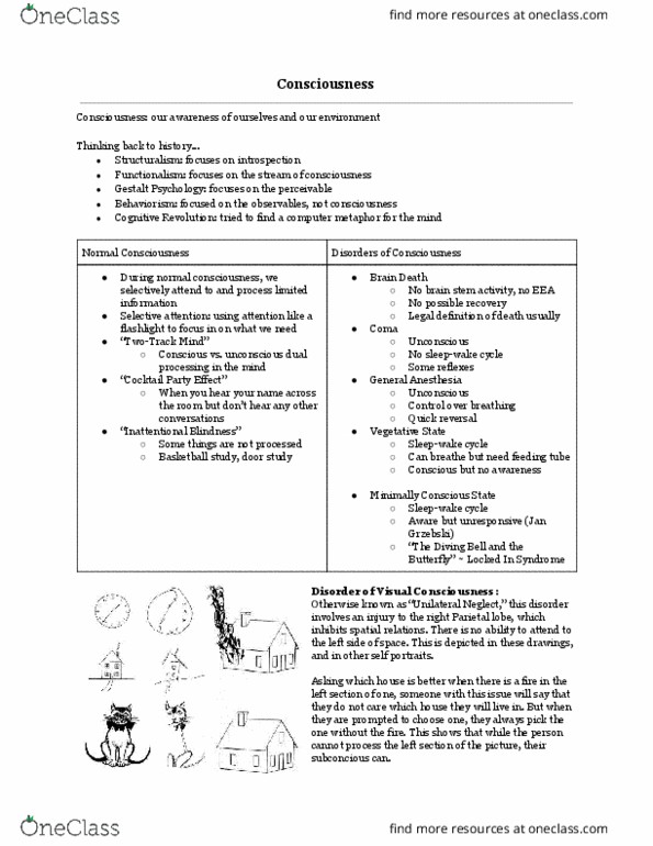 L33 Psych 100B Lecture Notes - Lecture 4: Parietal Lobe, Gestalt Psychology, Flashlight thumbnail