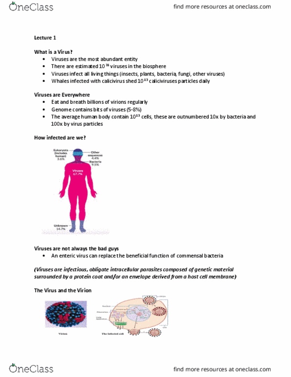 HTHSCI 3K03 Lecture Notes - Lecture 1: Intracellular Parasite, Commensalism, Virus Classification thumbnail