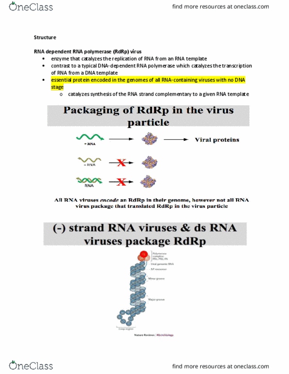 HTHSCI 3K03 Lecture Notes - Lecture 4: Rna-Dependent Rna Polymerase, Nuclear Magnetic Resonance Spectroscopy, Symmetry thumbnail