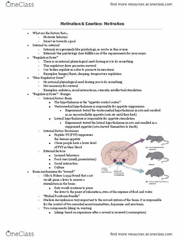 L33 Psych 100B Lecture Notes - Lecture 9: Ventromedial Nucleus Of The Hypothalamus, Peptide Yy, Lateral Hypothalamus thumbnail