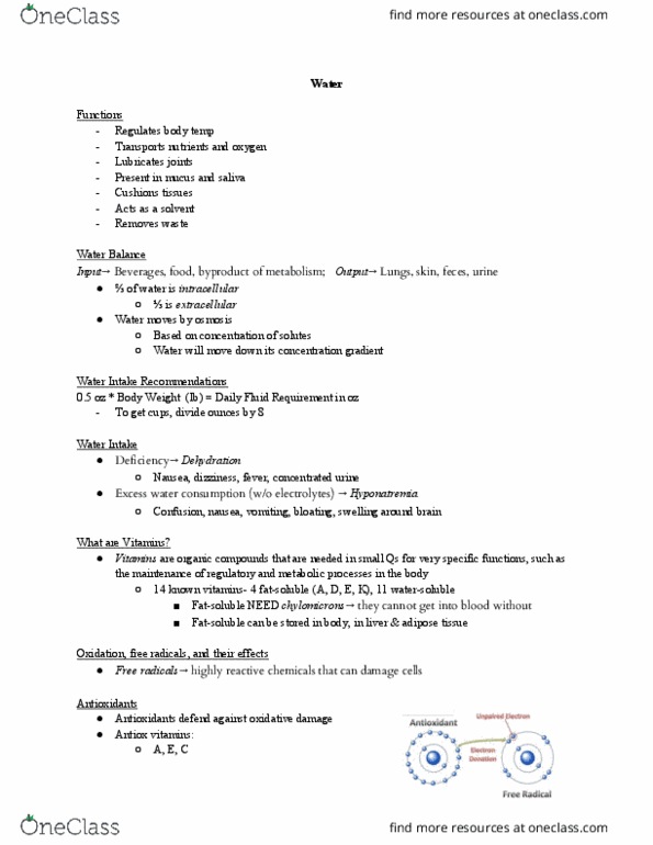 BIOLOGY 105 Lecture Notes - Lecture 5: Adipose Tissue, Hyponatremia, Chylomicron thumbnail