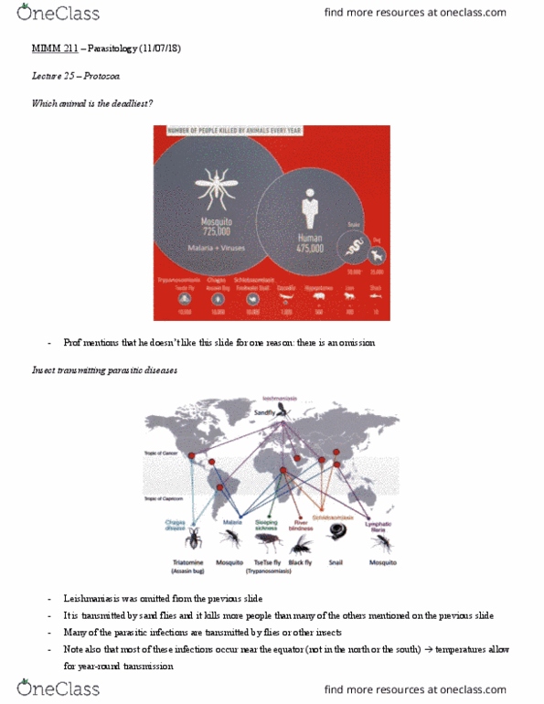 MIMM 211 Lecture Notes - Lecture 25: Leishmaniasis, Parasitic Disease, Protozoa thumbnail