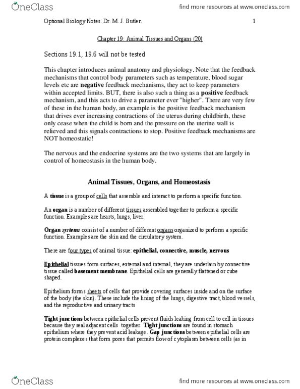Biology 1225 Chapter Notes - Chapter 19: Uterine Contraction, Tight Junction, Adipose Tissue thumbnail