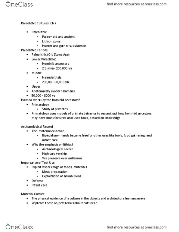 SOCA 105 Chapter Notes - Chapter 3: Upper Paleolithic, Lower Paleolithic, Stone Tool thumbnail