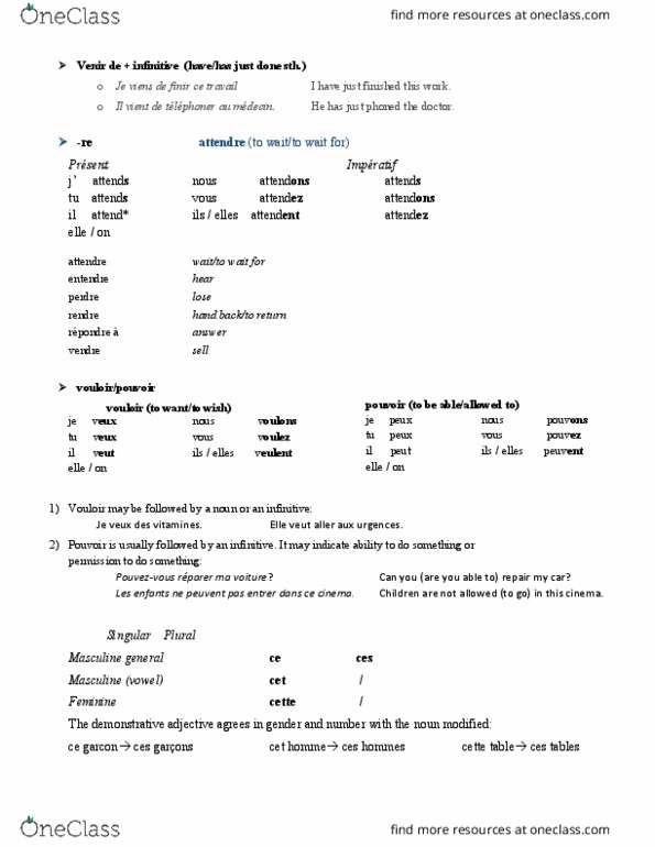 French 1002 Chapter Notes - Chapter 5: Demonstrative, Infinitive thumbnail