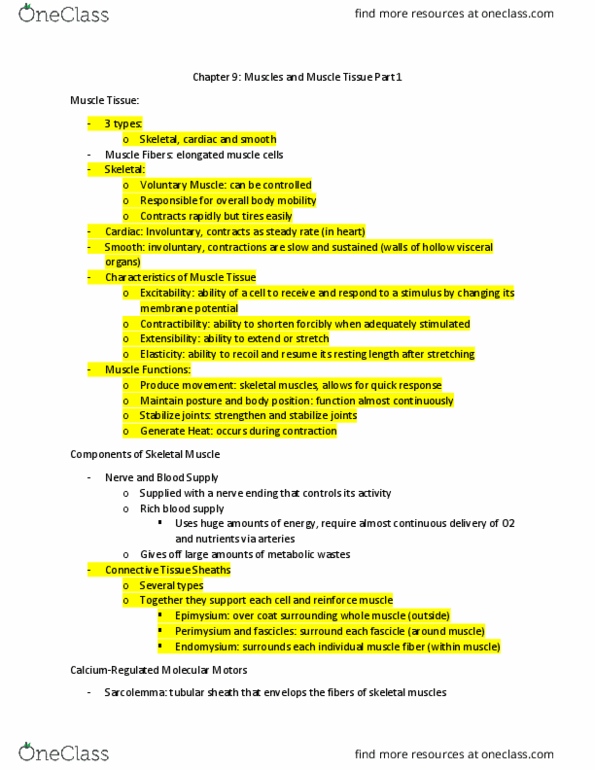PHED-2506EL Lecture Notes - Lecture 6: Skeletal Muscle, Continuous Delivery, Myocyte thumbnail