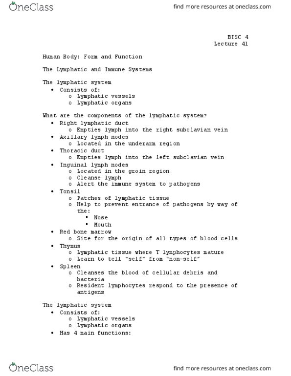 BISC 4 Lecture Notes - Lecture 41: Axillary Lymph Nodes, Subclavian Vein, Bone Marrow thumbnail