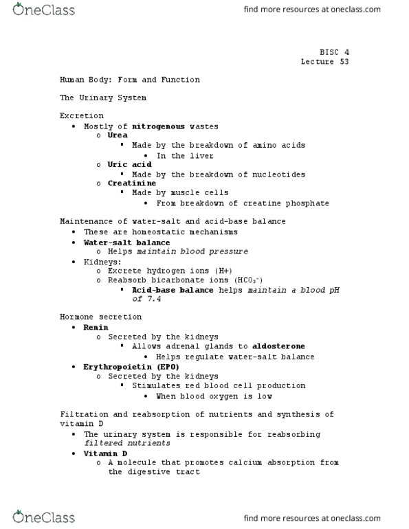 BISC 4 Lecture Notes - Lecture 53: Phosphocreatine, Red Blood Cell, Creatinine thumbnail