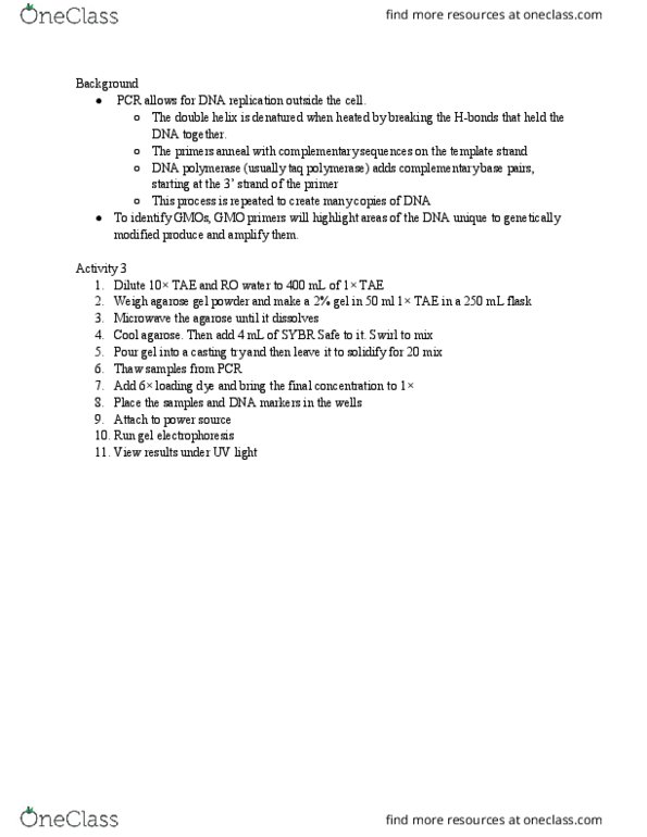 BIO 204 Lecture Notes - Lecture 13: The Double Helix, Sybr Green I, Dna Replication thumbnail