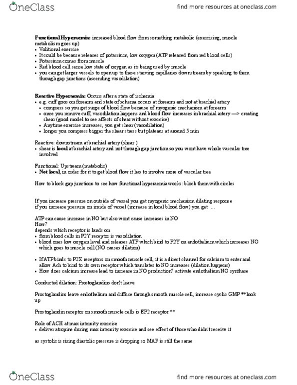 Kinesiology 4432A/B Lecture Notes - Lecture 20: Brachial Artery, P2Y Receptor, Hyperaemia thumbnail