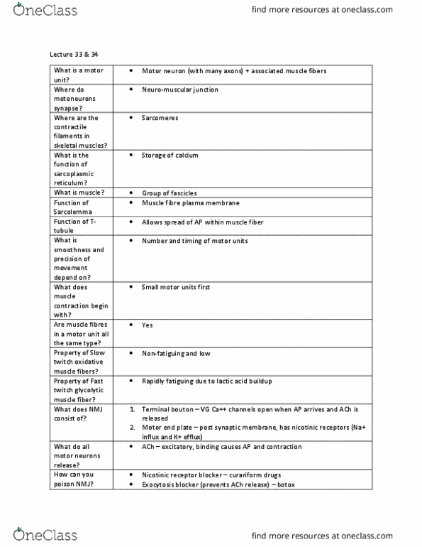 PSL300H1 Lecture Notes - Lecture 33: Myocyte, Endoplasmic Reticulum, Nicotinic Acetylcholine Receptor thumbnail