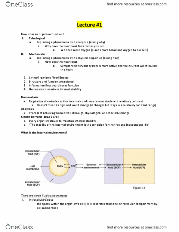 BIPN 100 Lecture Notes - Lecture 1: Fluid Compartments, Allostasis, Homeostasis thumbnail