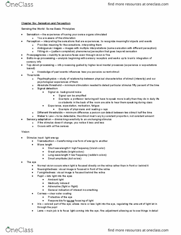 PSYC100 Lecture Notes - Lecture 6: Available Light, Color Vision, Absolute Threshold thumbnail