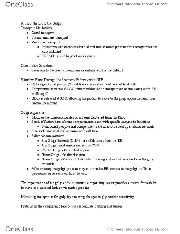 MCB 2210 Lecture Notes - Lecture 9: Microtubule Organizing Center, Golgi Apparatus, Cell Membrane thumbnail