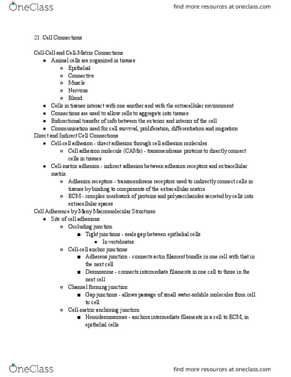 MCB 2210 Lecture Notes - Lecture 21: Cell Adhesion Molecule, Adherens Junction, Intermediate Filament thumbnail